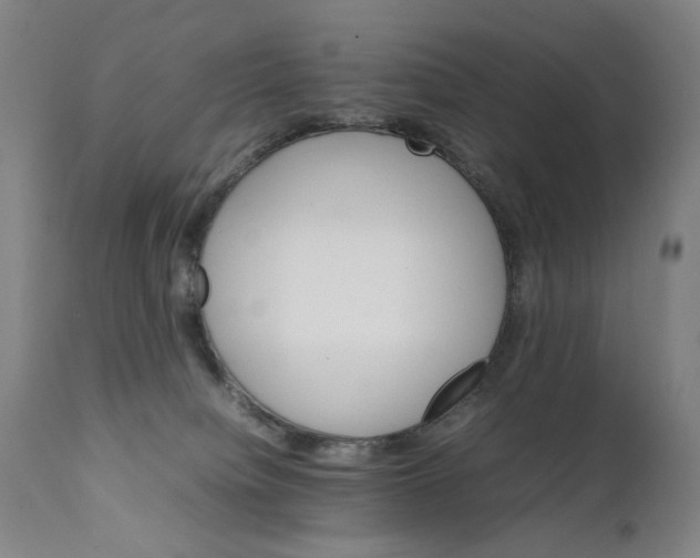 X0000111230084200907231514