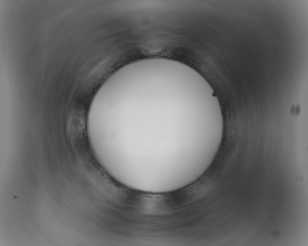 X0000111230085200907231514