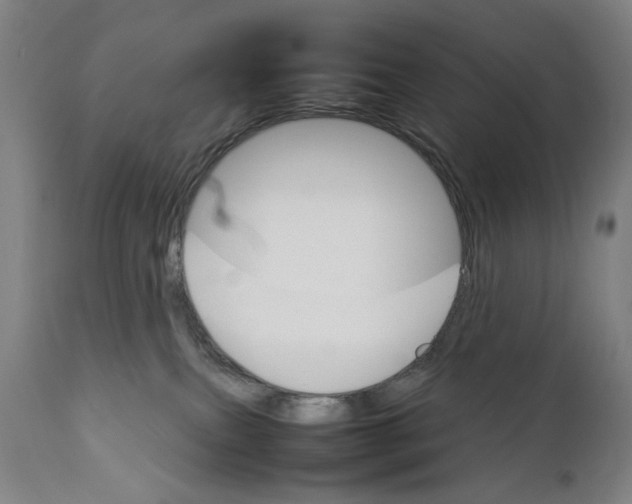 X0000111230087200907231514