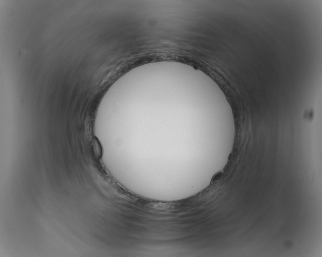 X0000111230088200907231514