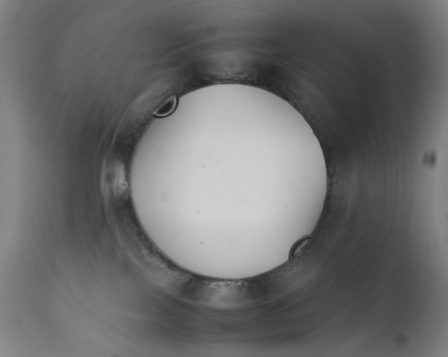 X0000111230089200907231514