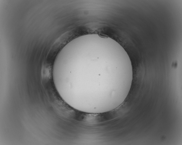 X0000111230090200907231514