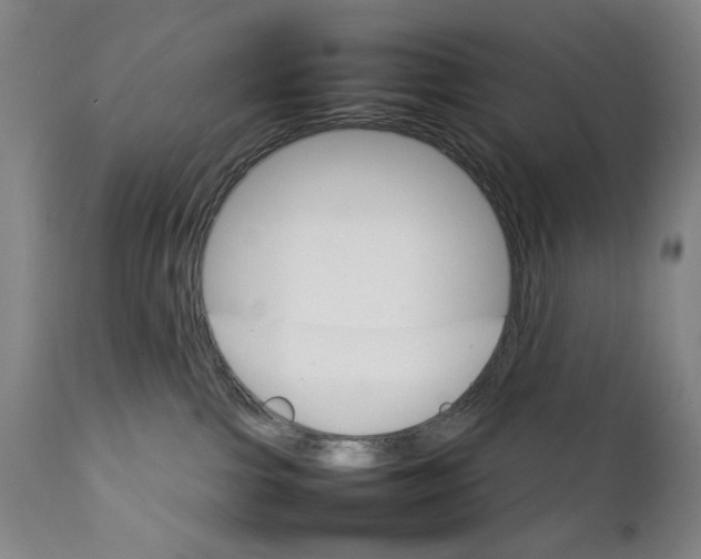 X0000111230091200907231514