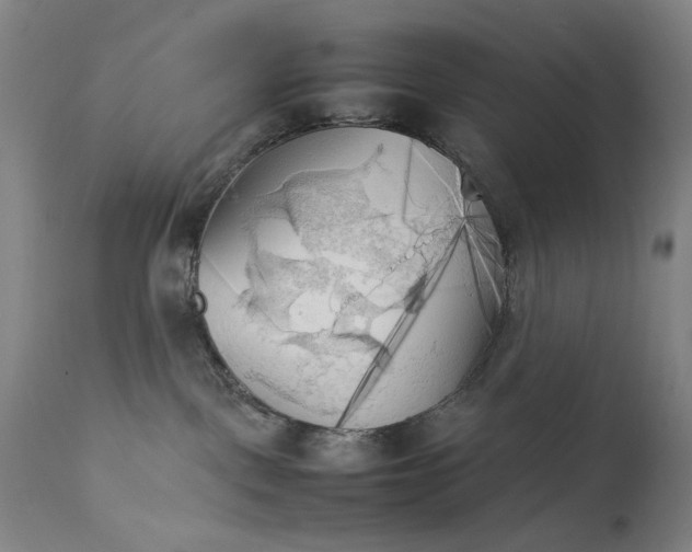 X0000111230093200907231515