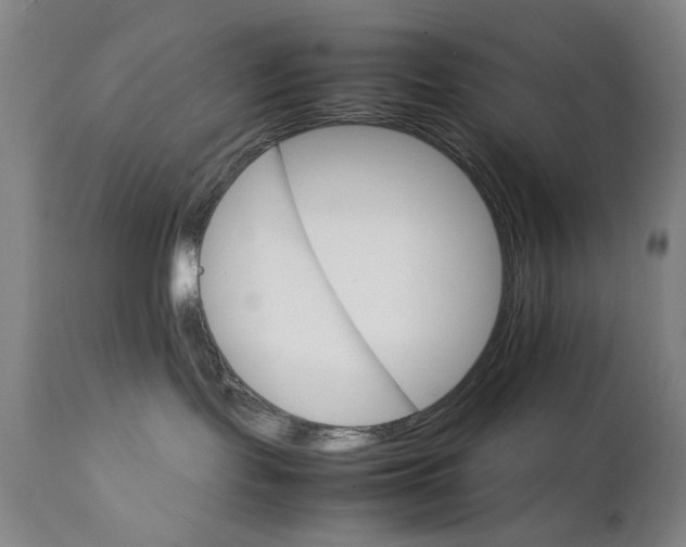 X0000111230095200907231515