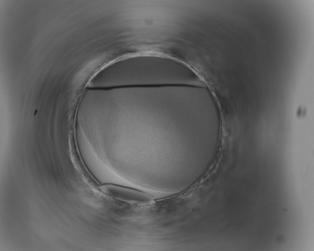 X0000111230097200907231514