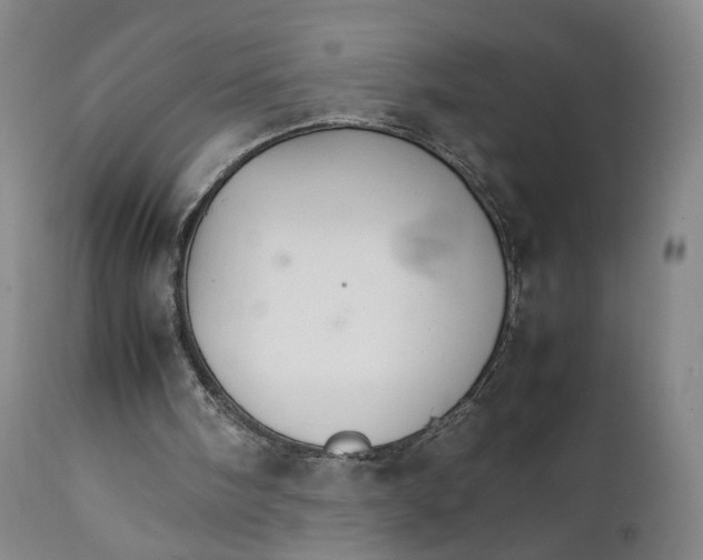 X0000111230098200907231514