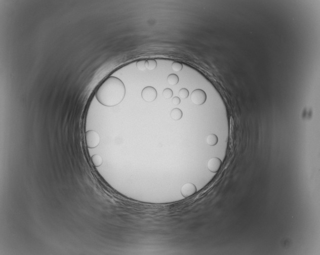 X0000111230099200907231514