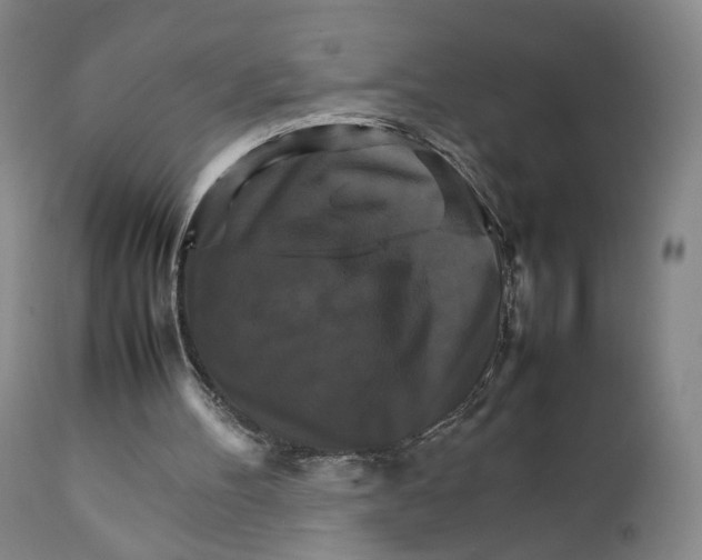 X0000111230100200907231514