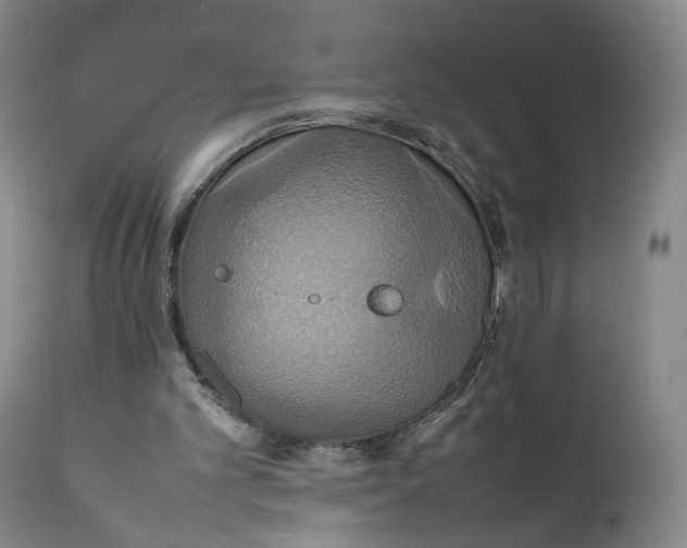 X0000111230101200907231514