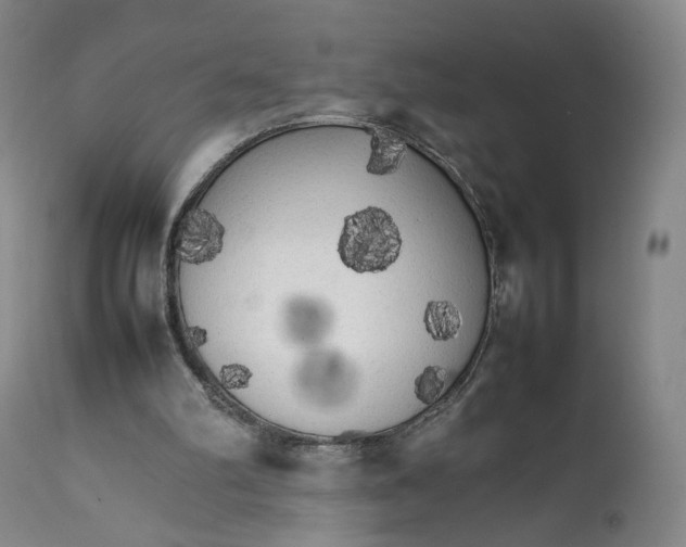 X0000111230102200907231514