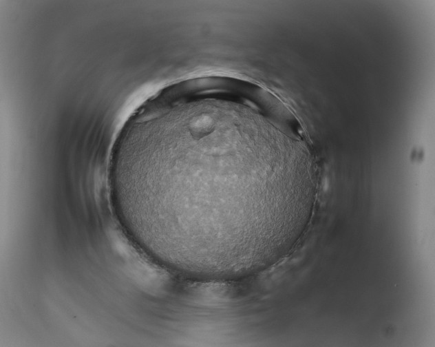 X0000111230104200907231514