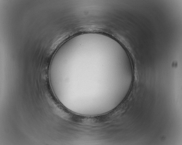 X0000111230105200907231514