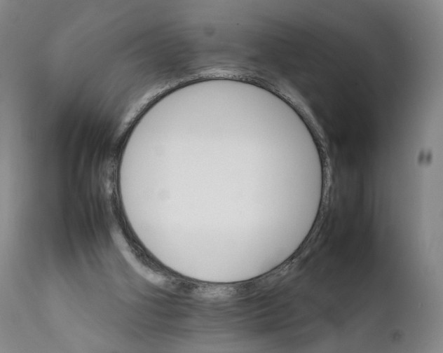 X0000111230106200907231514