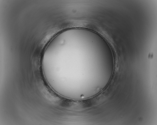 X0000111230107200907231514