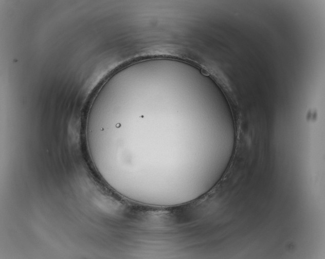 X0000111230108200907231514