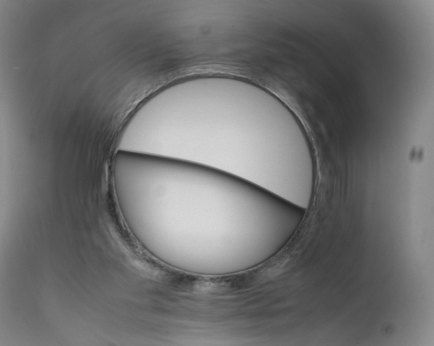 X0000111230109200907231514