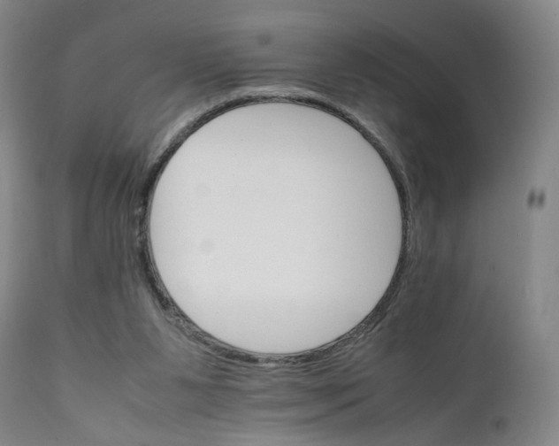 X0000111230111200907231514