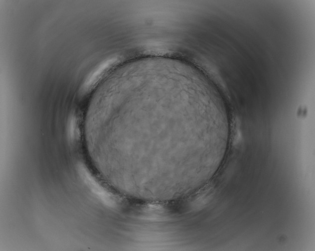 X0000111230114200907231513