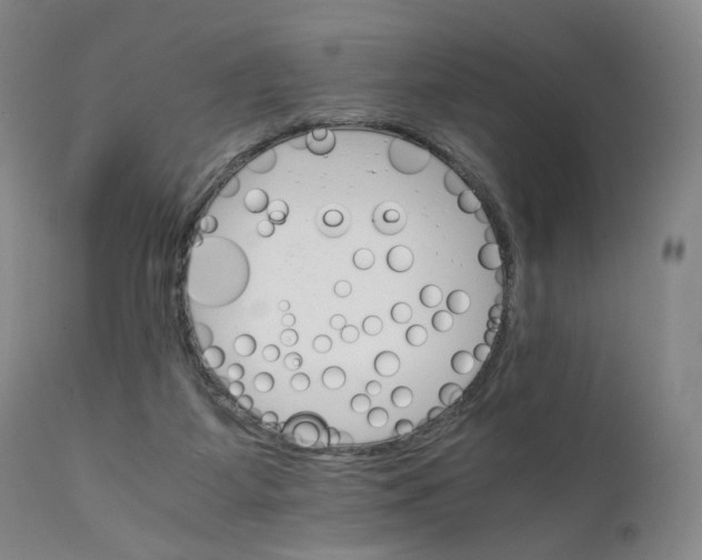 X0000111230115200907231513