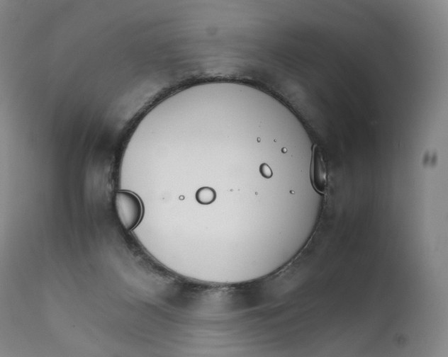 X0000111230116200907231513