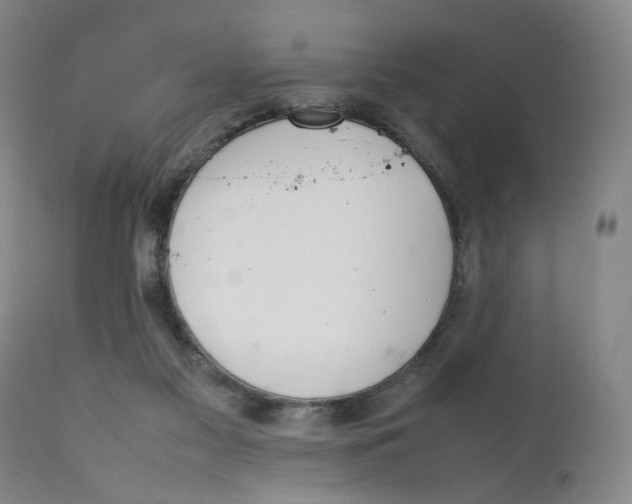 X0000111230117200907231513