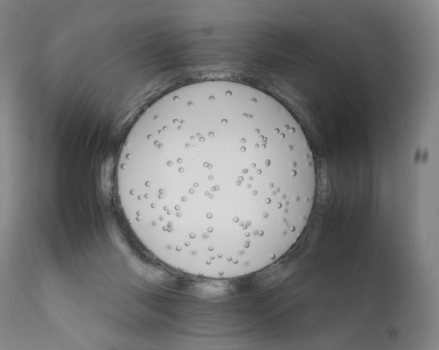 X0000111230118200907231513