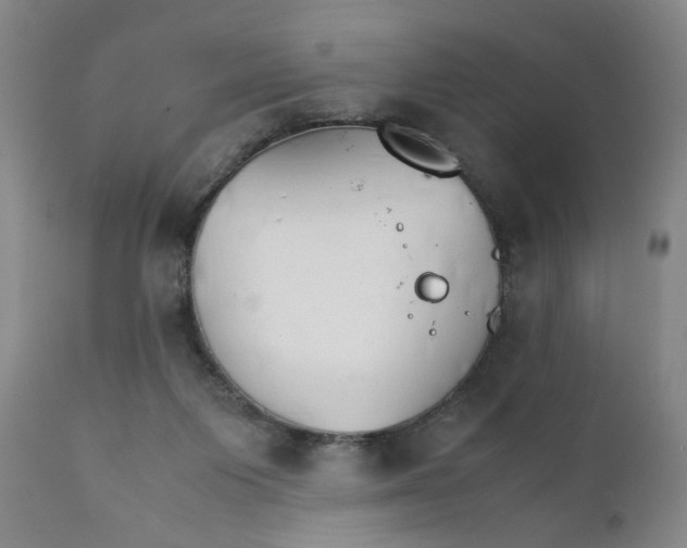 X0000111230119200907231513