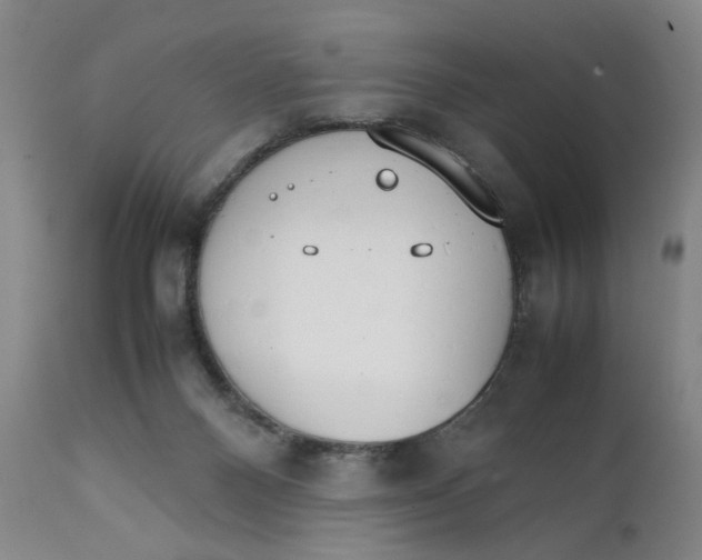 X0000111230120200907231513