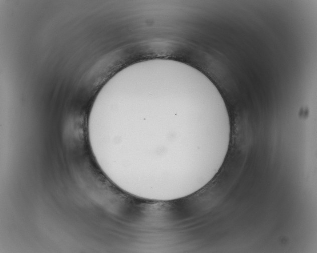 X0000111230122200907231513