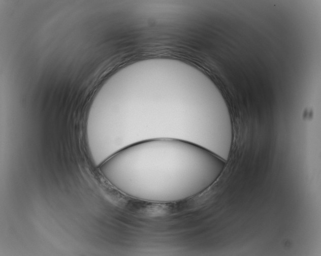 X0000111230124200907231513