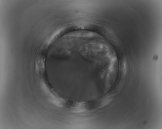 X0000111230127200907231513