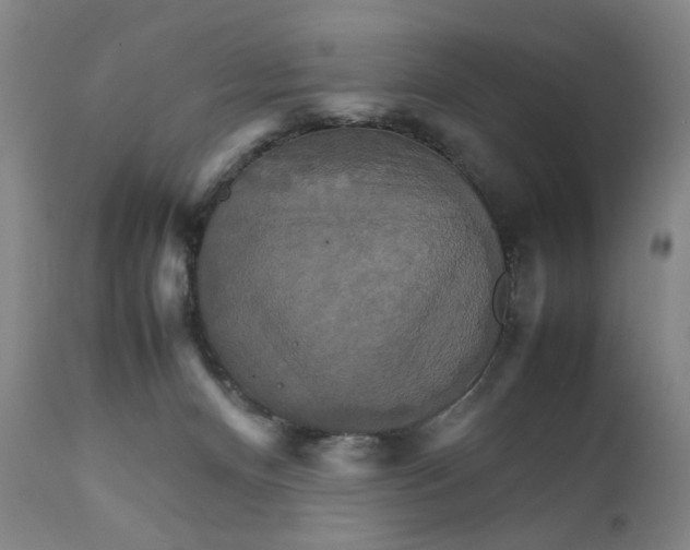 X0000111230128200907231513