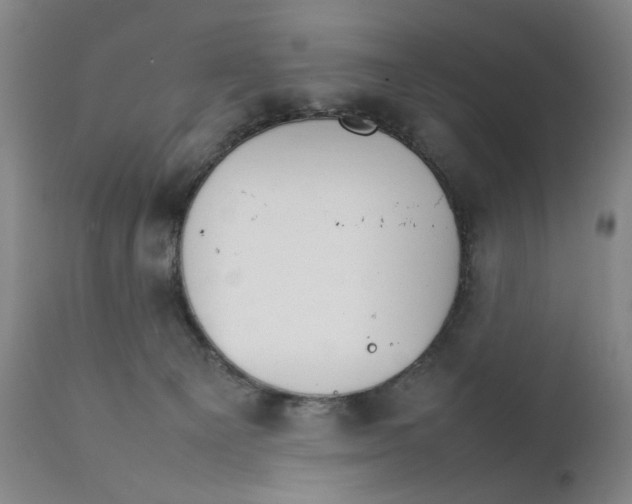 X0000111230129200907231513