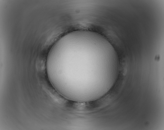 X0000111230131200907231513