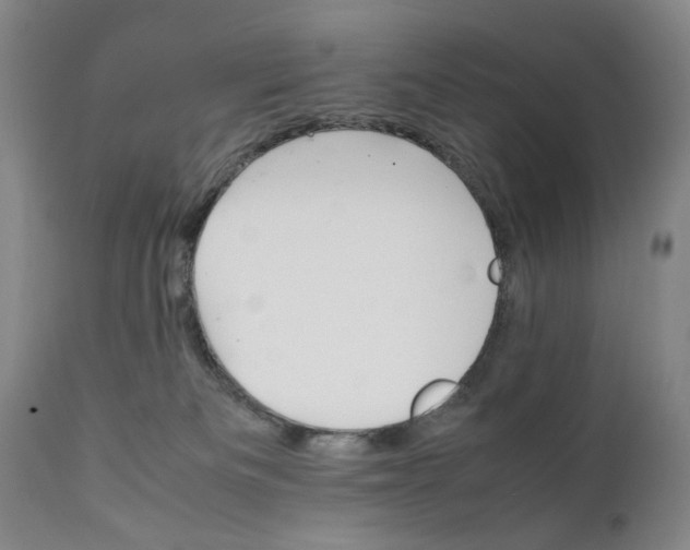 X0000111230133200907231513