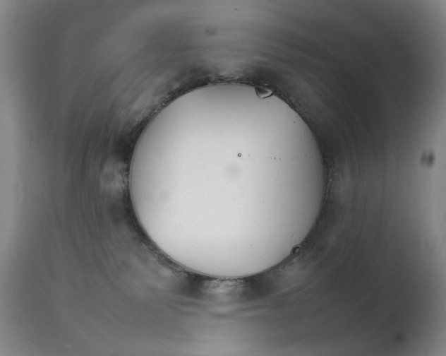 X0000111230135200907231513