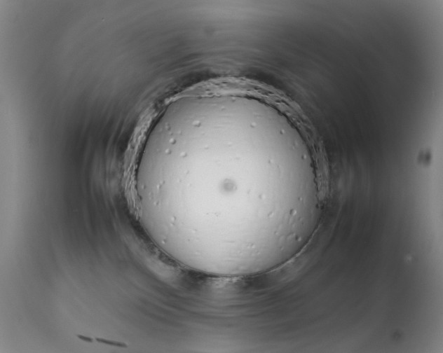 X0000111230136200907231513