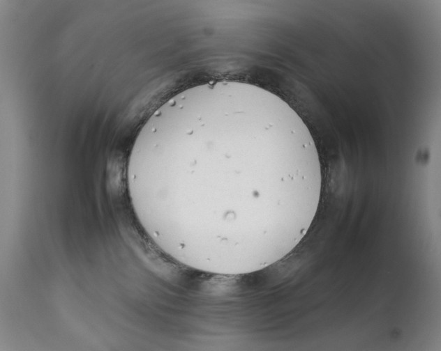 X0000111230138200907231513