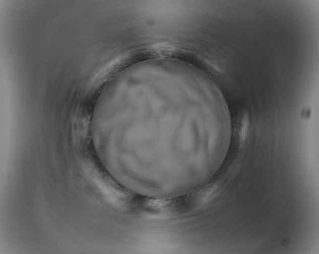 X0000111230139200907231513