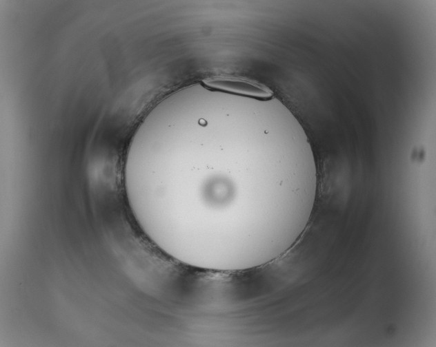 X0000111230140200907231513