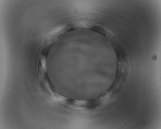 X0000111230143200907231513