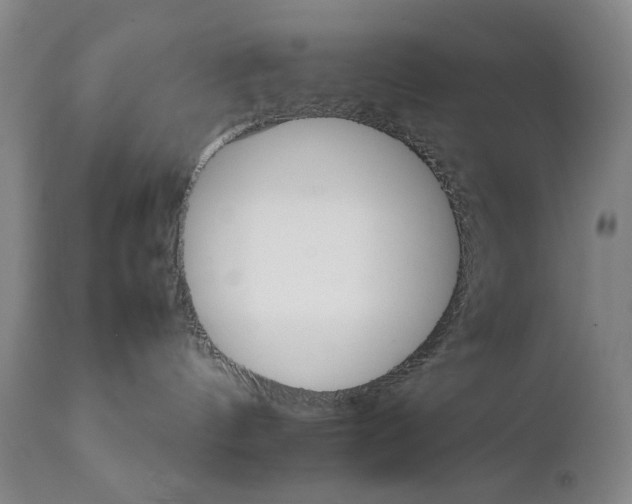 X0000111230144200907231513