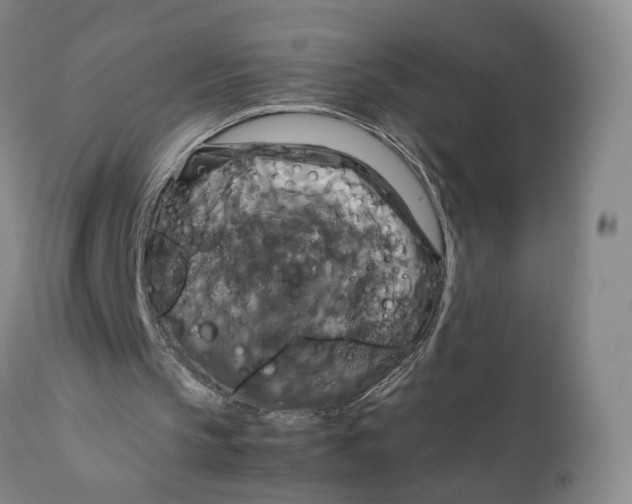 X0000111230145200907231512