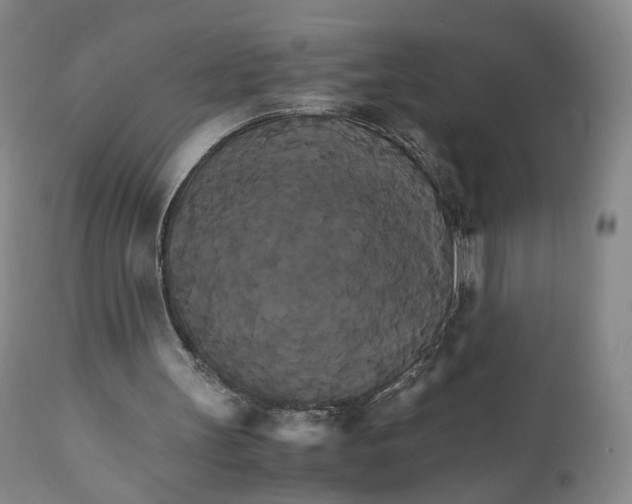 X0000111230147200907231512