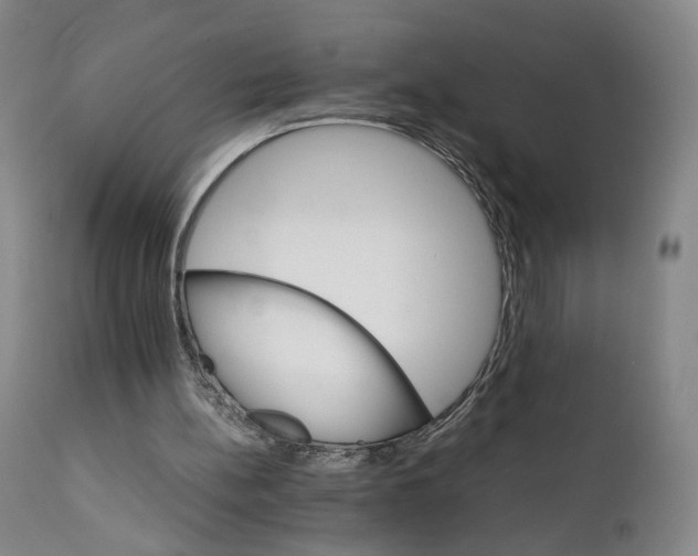 X0000111230148200907231512