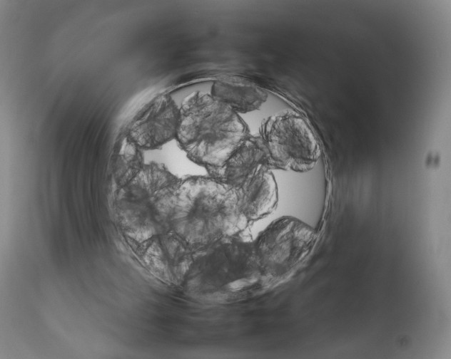 X0000111230149200907231512