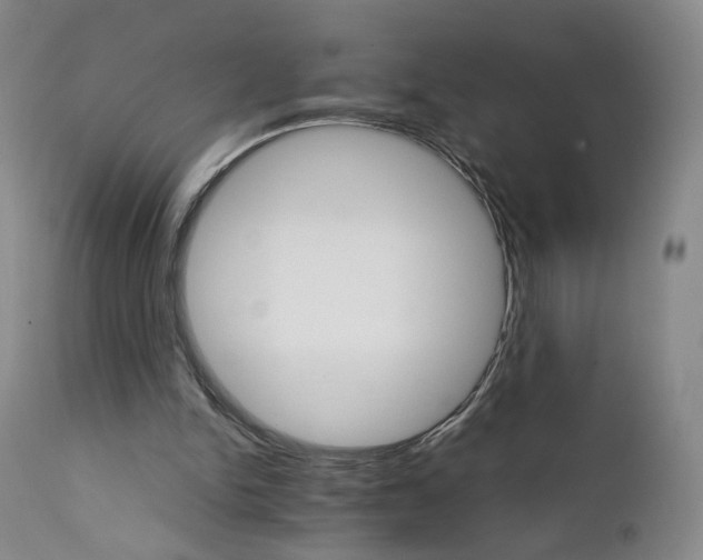 X0000111230150200907231512