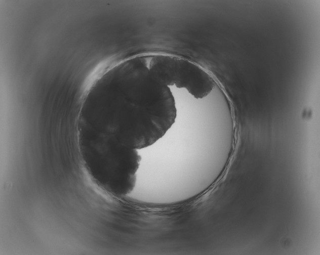 X0000111230151200907231512