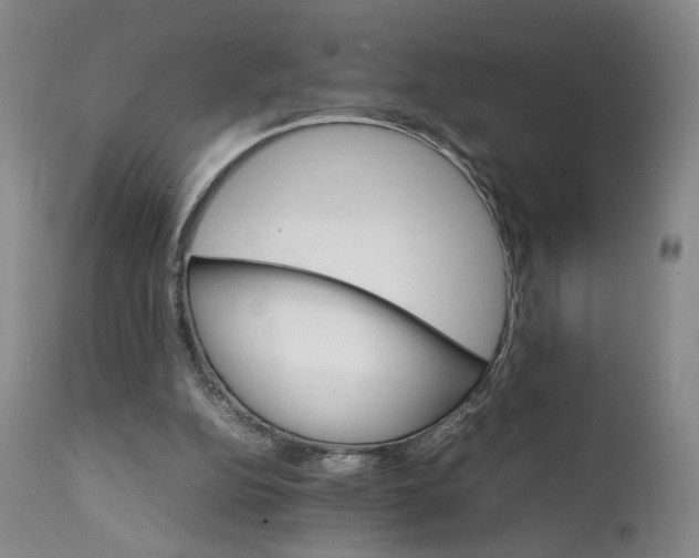 X0000111230152200907231512